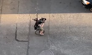 Unicycling Villain Plays Fire-Spitting Bagpipes