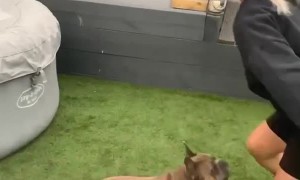 Befuddled Acrobat Tumbles into Tub