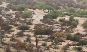 Flash Flood Forces Cars to Higher Ground