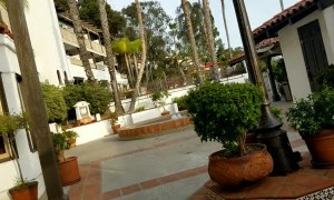 Live Interview Interrupted by Trolling Superfan