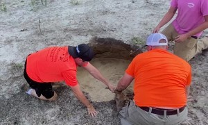 Good Samaritans Rescue Deer From Sinkhole