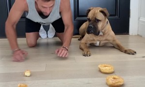 Donut Race Between Man and Dog
