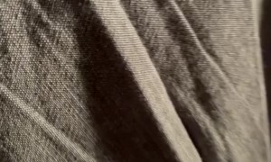 Rodeo Bull Jumps Into Stands