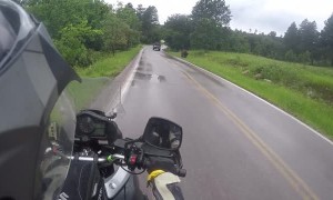 Motorcyclist Rides Close to Bison