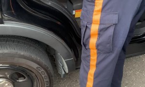 Officer Helps Rescue Baby Deer