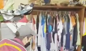 Enormous Snake Carefully Extracted from Ceiling