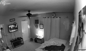 Balloon Caught in Ceiling Fan Scares Son