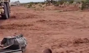 Tarantula in Tent Causes Excited Exit