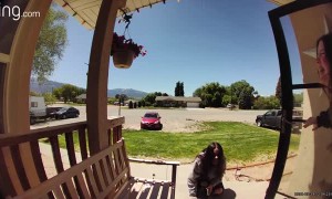 Sisters Stumble on the Same Step