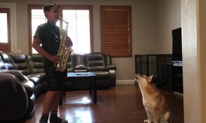 Doggy Joins Duet With Saxophone