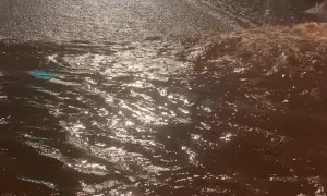 Flash Flooding in Omaha After Heavy Rain