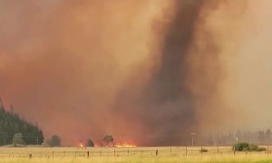 Large Firenado Forms in Dixie Fire in California