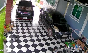 Large Snake Hiding Under Car Surprises Lady