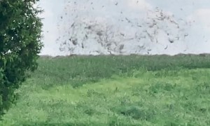 Whirlwind Develops in Hayfield