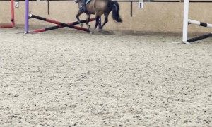 Powerful Farts Propel Pony Over Jumps
