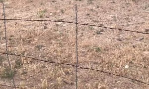 Lightning Strike Fire Burns Away Utah Hillside