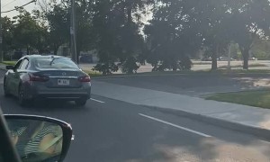 Doggy Enjoys Windy Ride