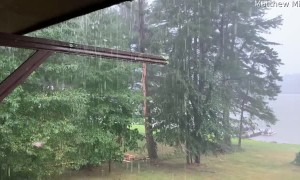 Lightning Strike Dashes Backyard Tree to Pieces