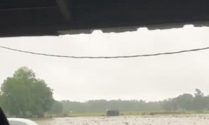 Parcel Delivered Through High Water