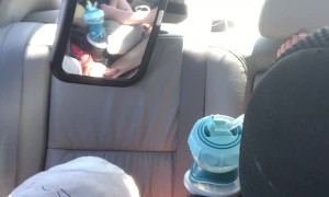 Toddler Devastated to Learn that Dogs Don’t Lay Eggs