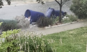 Garbage Cans Float Down Street During Flood