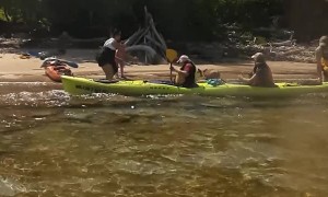 Kayak Tour Rescues Baby Fawn from Drowning