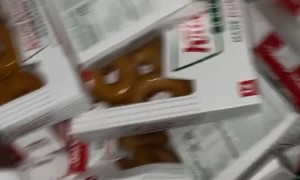 Dumpster Diver's Donut Delight