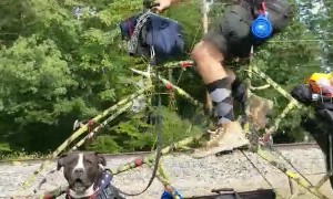 Very Unique Bike Spotted in Indiana