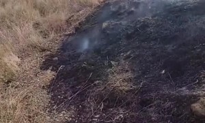 Tow Truck Driver Fights Roadside Fire