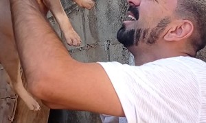 Guy Resuscitates Limp Puppy with no Heartbeat