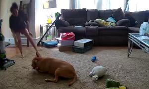 Doggy Saved From Choking by His Human