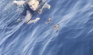 Lady Plays with Friendly Large Mola Mola