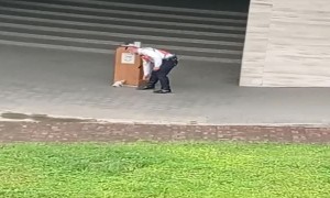 Playful Kitten Destresses Security Guard
