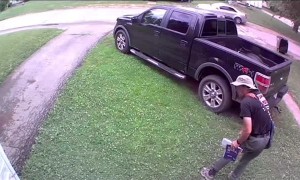 Neighbor's Dog Bites Mailman