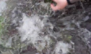 Streets Empty Seriously Quickly After Drains Unblocked