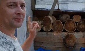 Man Sticks Glass Bottle into Moving Tree Target