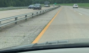 Escaped Racehorse Runs Down Expressway