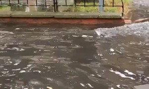 Electric Scooter Takes a Spill in Puddle
