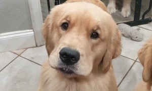 Caly Chats When She Wants a Snack