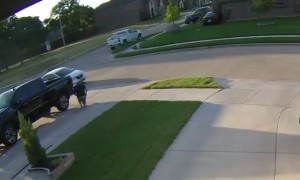 Mustang Won't Stay in Stable