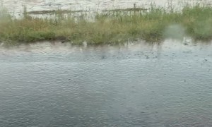 Sudden Microburst Fills Streets With Flowing Water