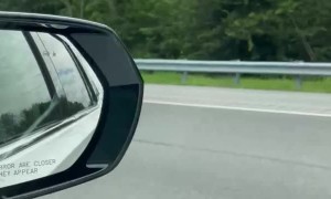 Racehorse Runs Down Road