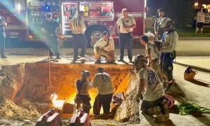 Dog missing for two days rescued from storm drain