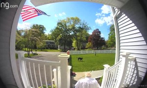 Grandpa Surprises Kids on Porch Stairs