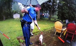 Police rescued blind, deaf & elderly dog from long forgotten cistern