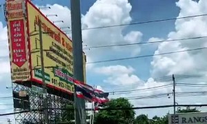 Kitten Saved From Busy Road