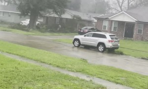 Wind Blows Massive Tree onto Neighbors House