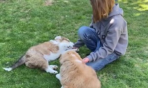 Surprising Kiddos with Puppy's Brother
