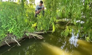 Large Fish Pulls Man into the Water
