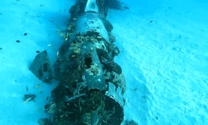 Scuba Divers Explore the Corsair Dive Site